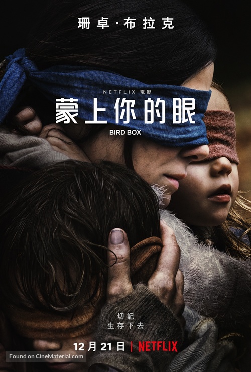 Bird Box - Chinese Movie Poster