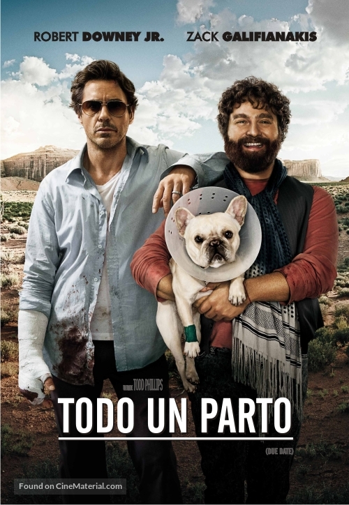 Due Date - Argentinian DVD movie cover