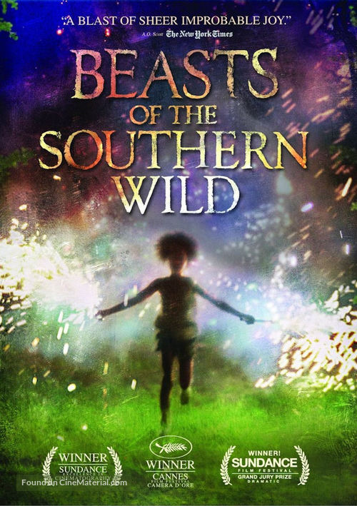 Beasts of the Southern Wild - DVD movie cover