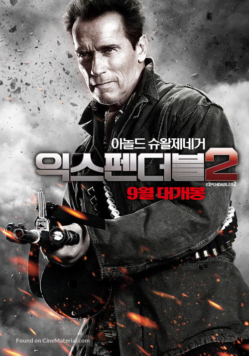 The Expendables 2 - South Korean Movie Poster