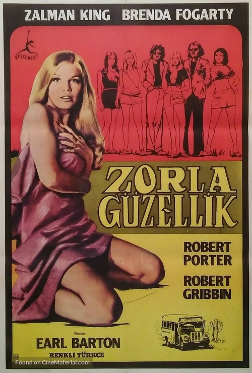 Trip with the Teacher - Turkish Movie Poster