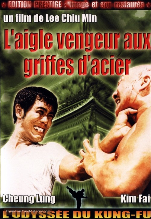 Ling Nan zhi hu - French DVD movie cover