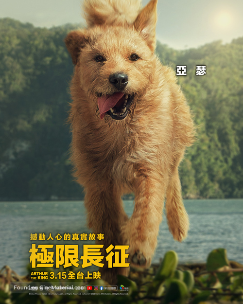 Arthur the King - Taiwanese Movie Poster