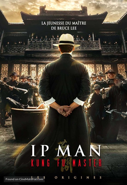 Ip Man: Kung Fu Master - French DVD movie cover