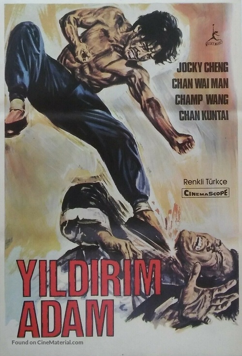 Jaam sau ji - Turkish Movie Poster