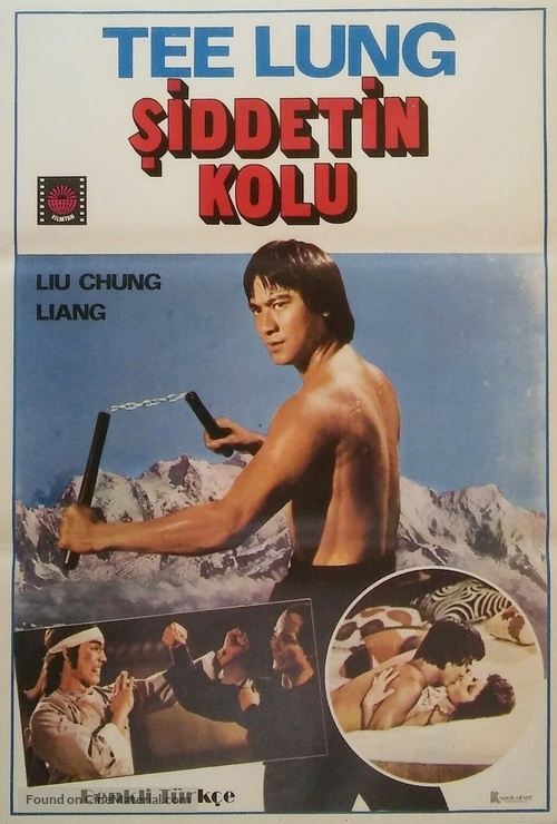 Cha chi nan fei - Turkish Movie Poster