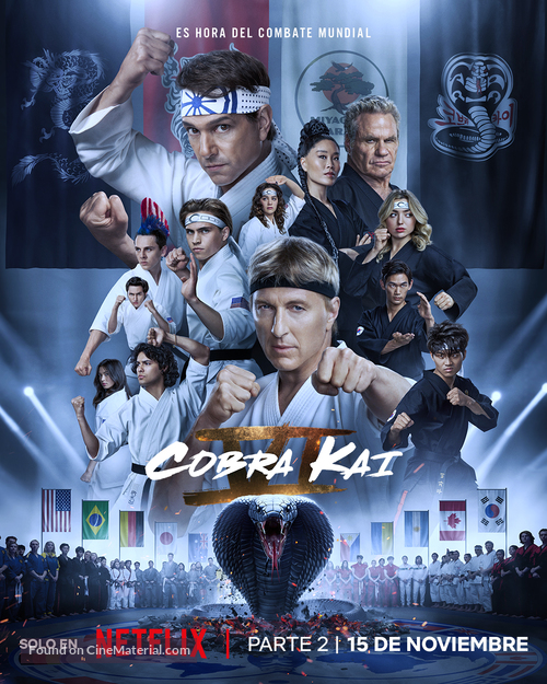 &quot;Cobra Kai&quot; - Mexican Movie Poster