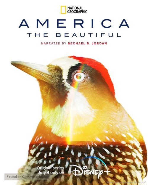 &quot;America the Beautiful&quot; - Movie Poster