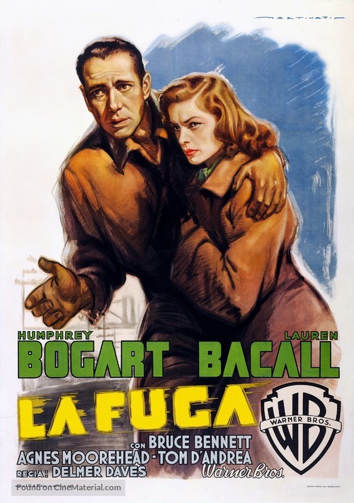 Dark Passage - Italian Movie Poster