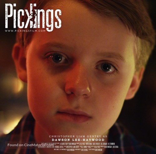 Pickings - Movie Poster