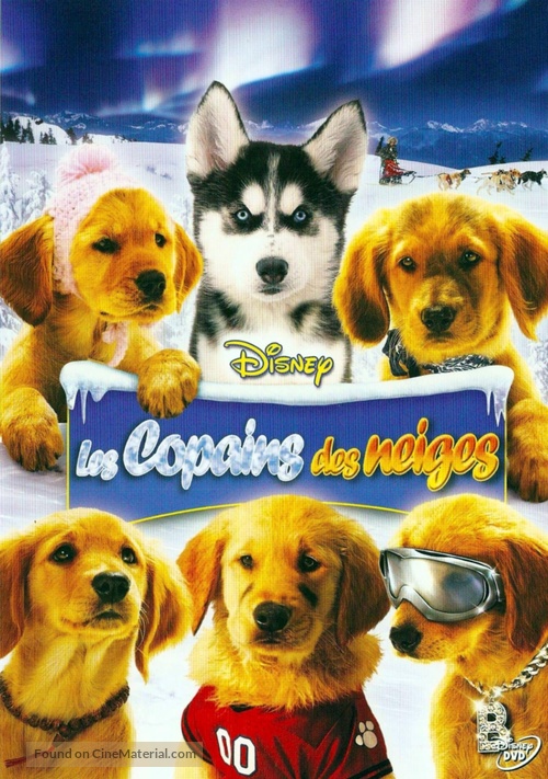 Snow Buddies - French DVD movie cover