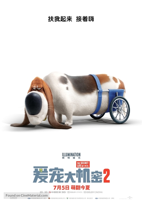 The Secret Life of Pets 2 - Chinese Movie Poster