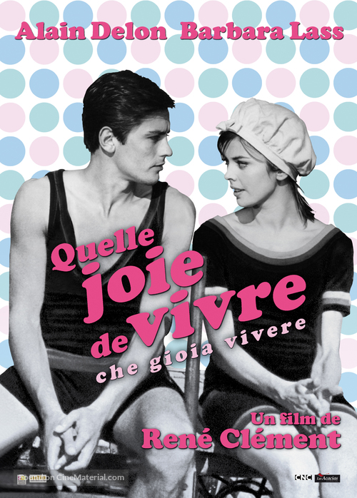 Che gioia vivere - French DVD movie cover