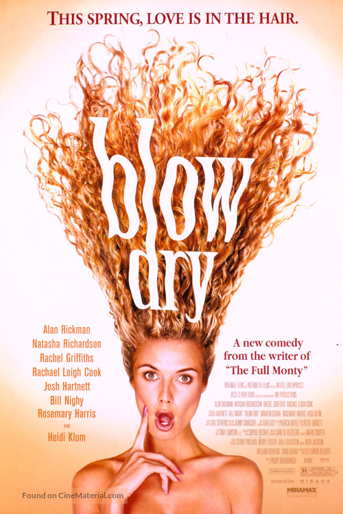 Blow Dry - Movie Poster