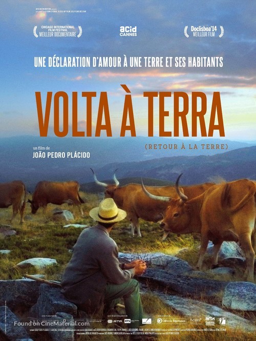 Volta &agrave; terra - French Movie Poster