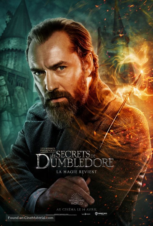 Fantastic Beasts: The Secrets of Dumbledore - French Movie Poster