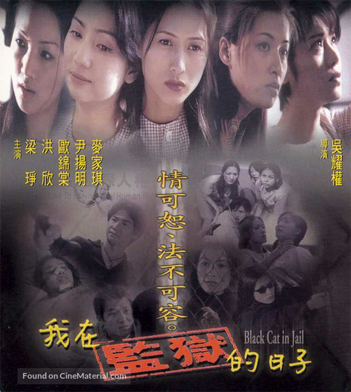 Ngo joi gaam yuk dik yat ji - Hong Kong Movie Cover