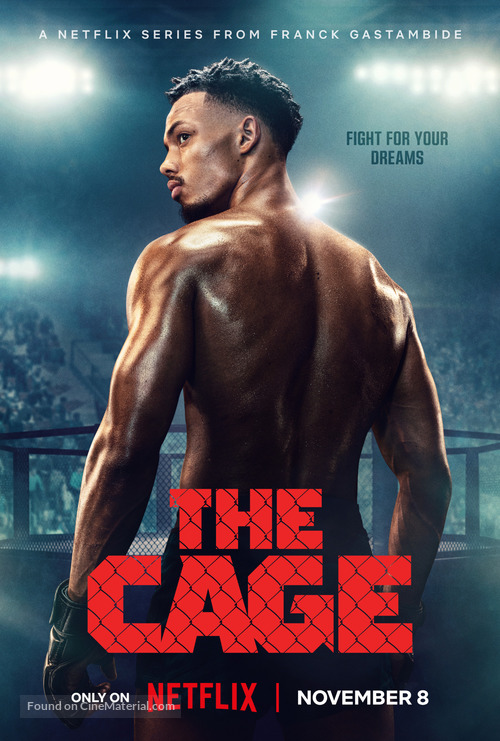 &quot;La Cage&quot; - Movie Poster