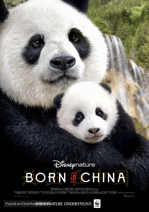 Born in China - Dutch Movie Poster