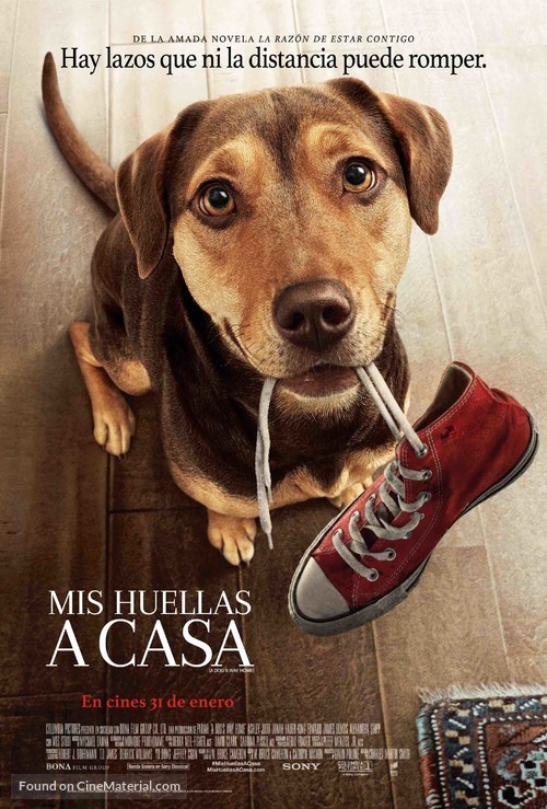 A Dog&#039;s Way Home - Colombian Movie Poster