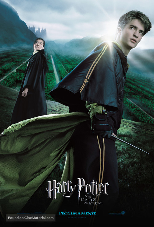 Harry Potter and the Goblet of Fire - Argentinian Movie Poster