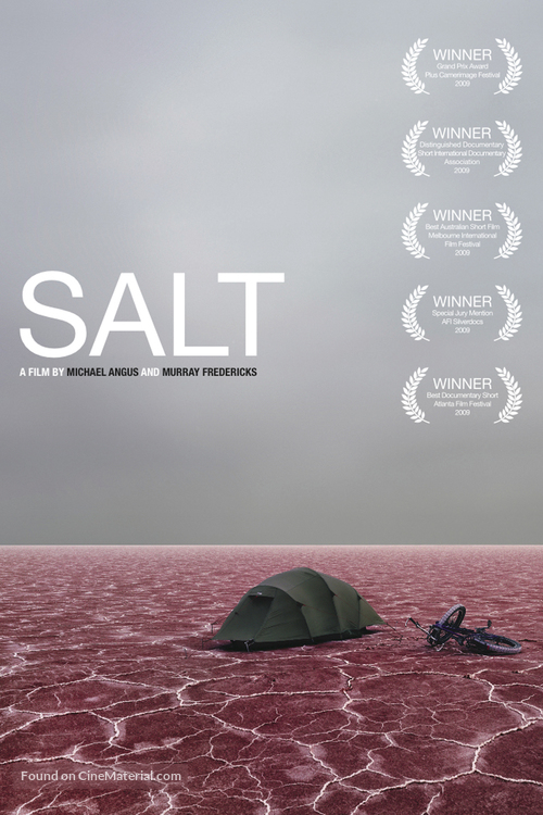 Salt - DVD movie cover