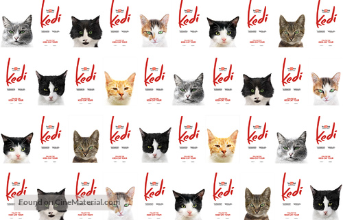 Kedi - Movie Poster