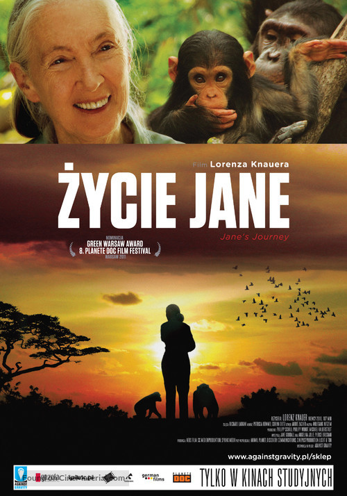 Jane&#039;s Journey - Polish Movie Poster