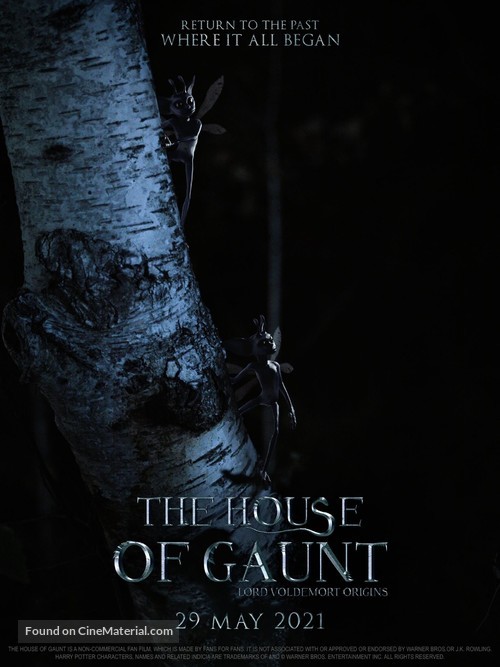 The House of Gaunt - International Movie Poster