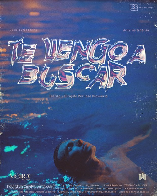 Te vengo a buscar - Spanish Movie Poster