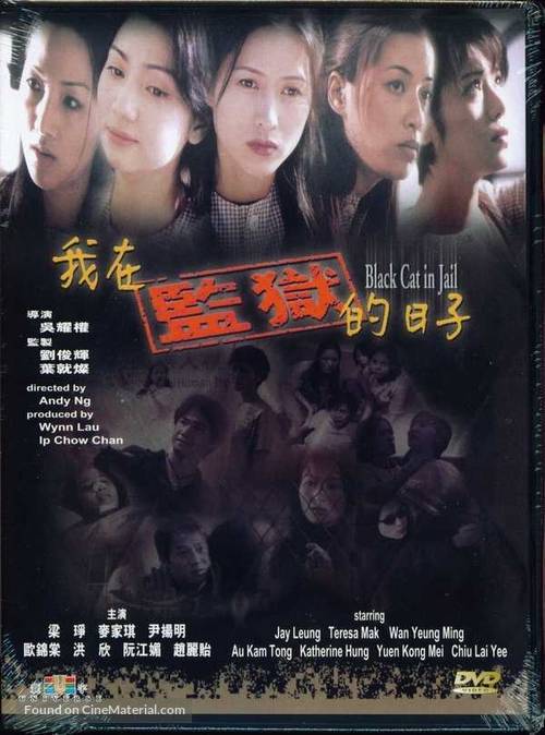 Ngo joi gaam yuk dik yat ji - Hong Kong DVD movie cover