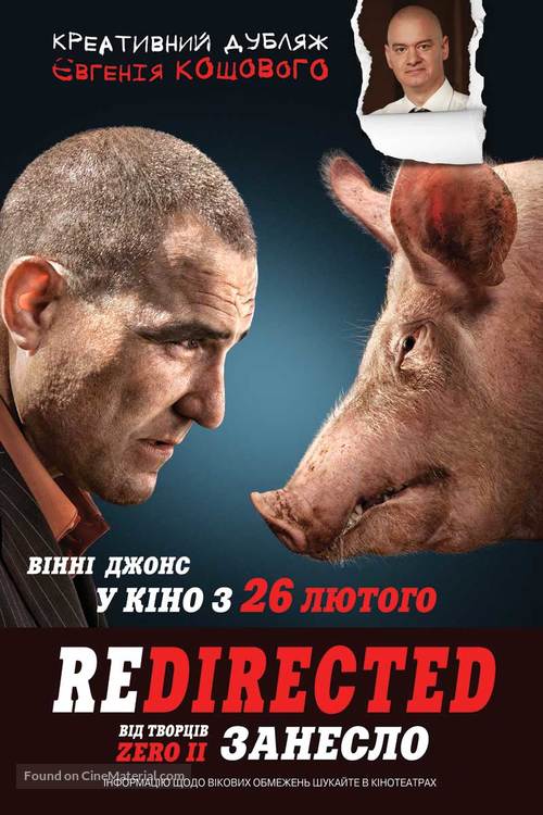 Redirected - Ukrainian Movie Poster