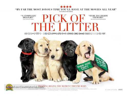 Pick of the Litter - British Movie Poster