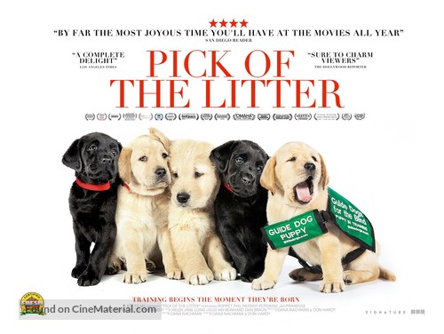 Pick of the Litter - British Movie Poster