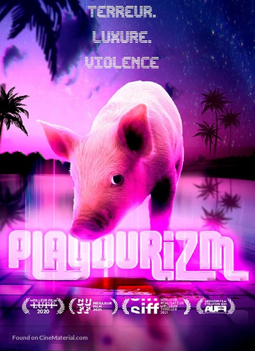 Playdurizm - French DVD movie cover