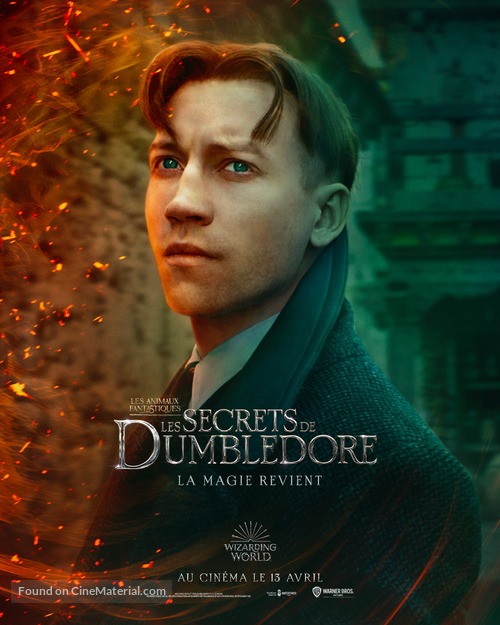 Fantastic Beasts: The Secrets of Dumbledore - French Movie Poster