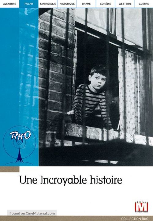 The Window - French DVD movie cover