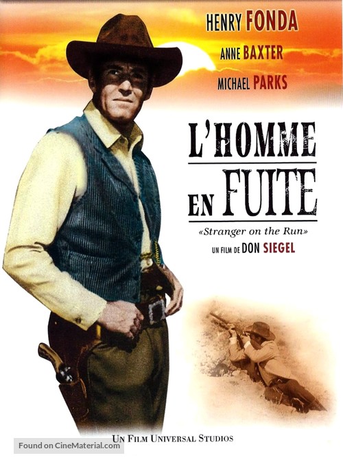 Stranger on the Run - French DVD movie cover