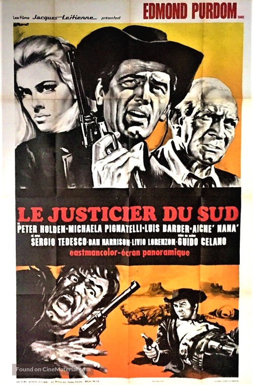 Giur&ograve;... e li uccise ad uno ad uno... Piluk il timido - French Movie Poster