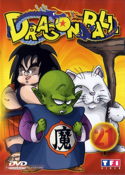 &quot;Dragon Ball&quot; - French Movie Cover