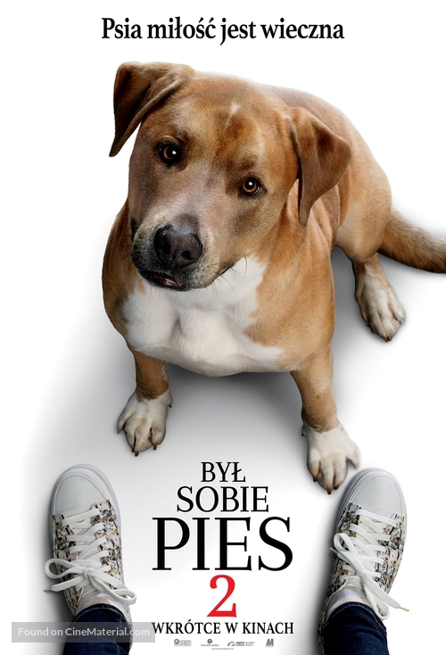 A Dog&#039;s Journey - Polish Movie Poster