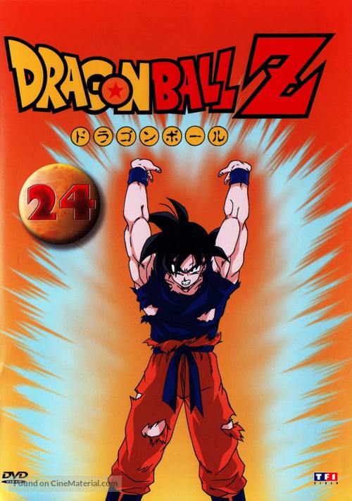 &quot;Dragon Ball Z&quot; - French Movie Cover