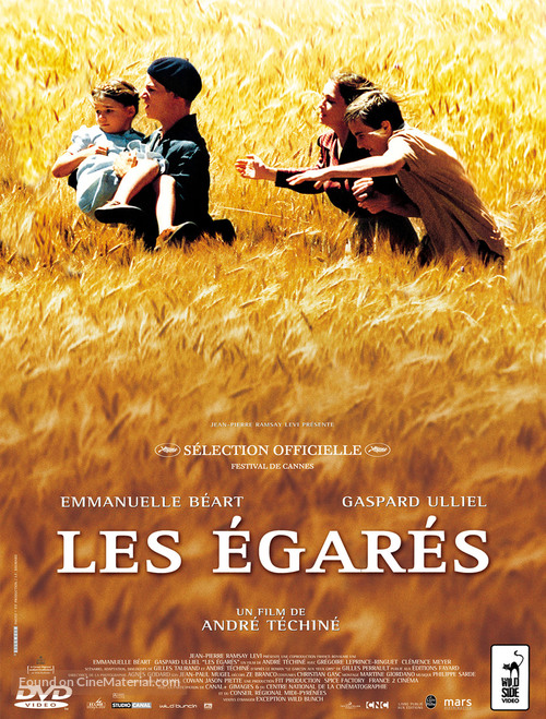 Les &eacute;gar&eacute;s - French DVD movie cover