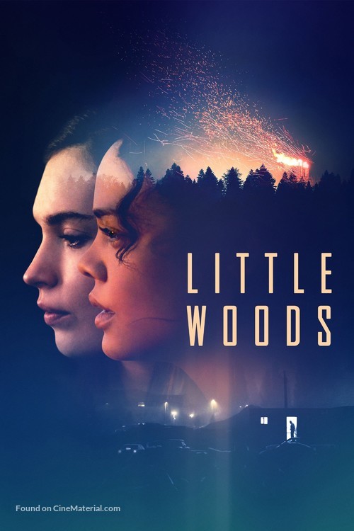 Little Woods - Movie Cover