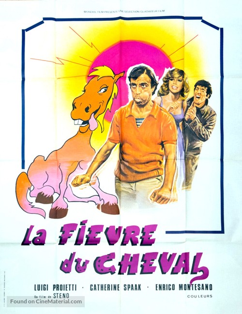 Febbre da cavallo - French Movie Poster