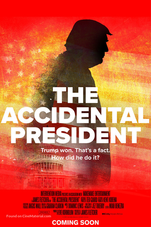 The Accidental President - Movie Poster