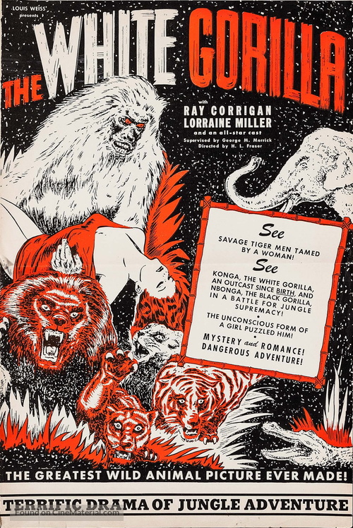 The White Gorilla - poster