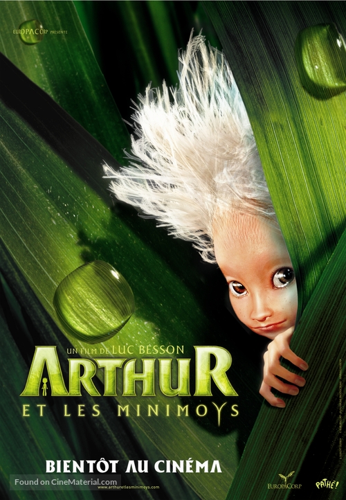 Arthur et les Minimoys - French Movie Poster