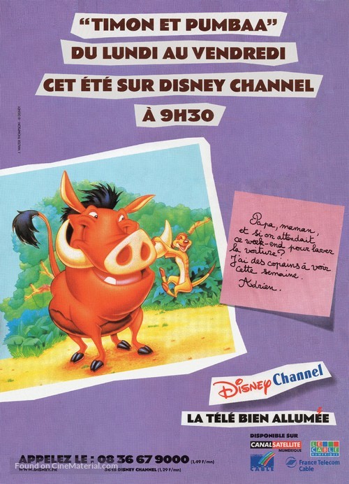 &quot;Timon &amp; Pumbaa&quot; - French poster