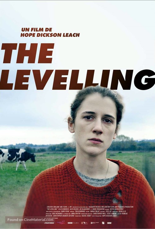 The Levelling - French Movie Poster